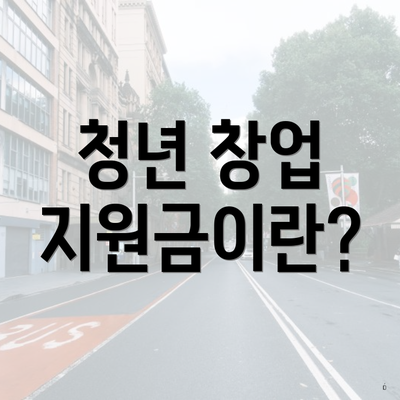 청년 창업 지원금이란?