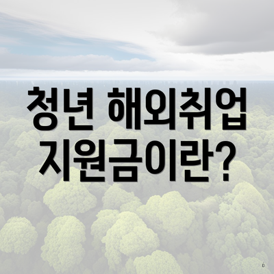 청년 해외취업 지원금이란?
