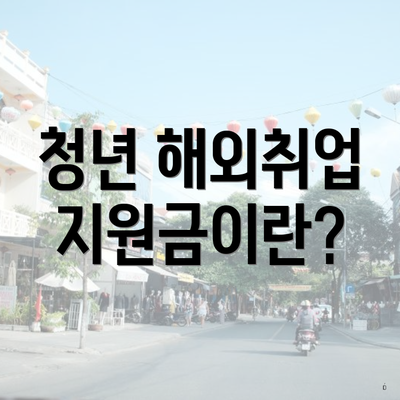 청년 해외취업 지원금이란?