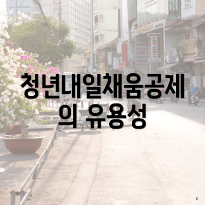 청년내일채움공제의 유용성