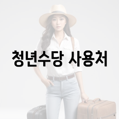 청년수당 사용처