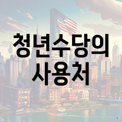 청년수당의 사용처