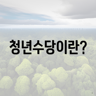 청년수당이란?