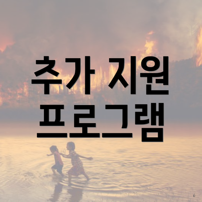 추가 지원 프로그램