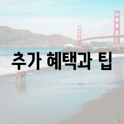 추가 혜택과 팁