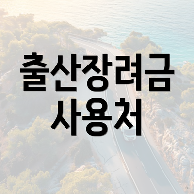 출산장려금 사용처