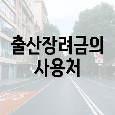 출산장려금의 사용처