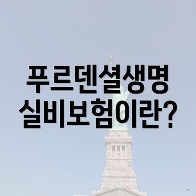 푸르덴셜생명 실비보험이란?