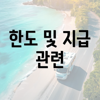 한도 및 지급 관련