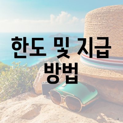 한도 및 지급 방법