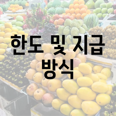 한도 및 지급 방식
