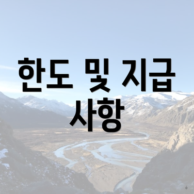 한도 및 지급 사항