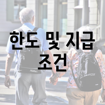 한도 및 지급 조건