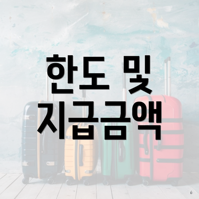 한도 및 지급금액