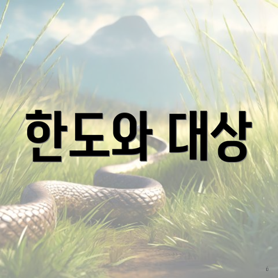 한도와 대상
