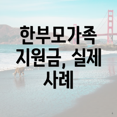 한부모가족 지원금, 실제 사례