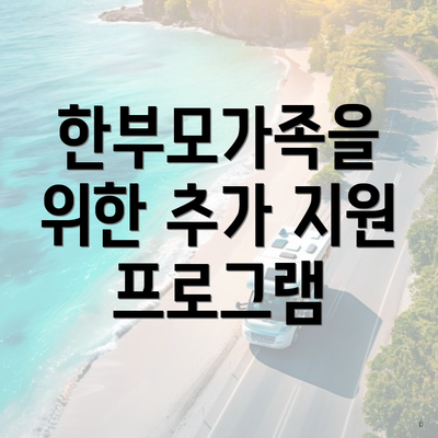 한부모가족을 위한 추가 지원 프로그램