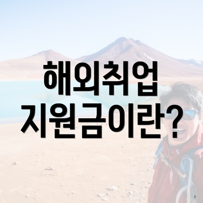 해외취업 지원금이란?