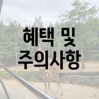 혜택 및 주의사항