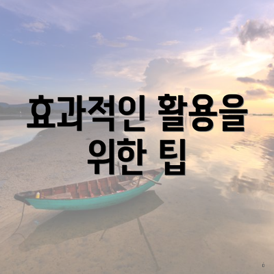 효과적인 활용을 위한 팁