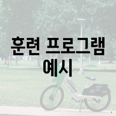 훈련 프로그램 예시