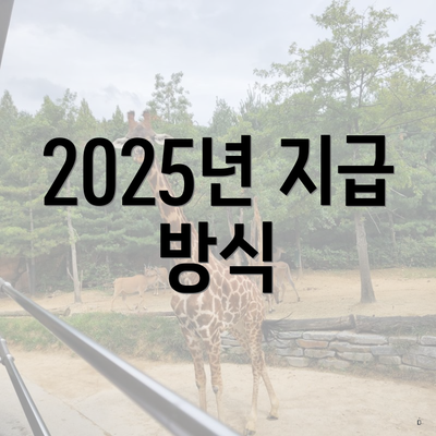 2025년 지급 방식