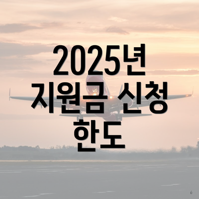 2025년 지원금 신청 한도