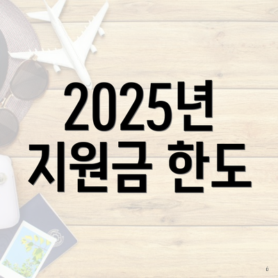 2025년 지원금 한도