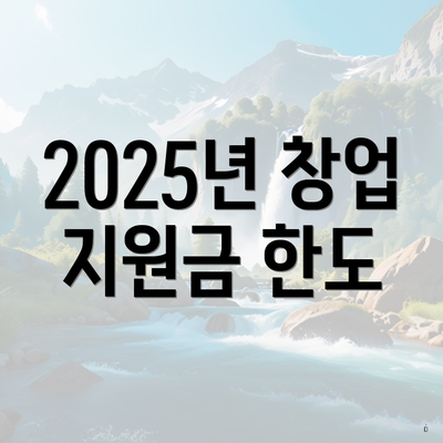 2025년 창업 지원금 한도