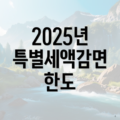2025년 특별세액감면 한도