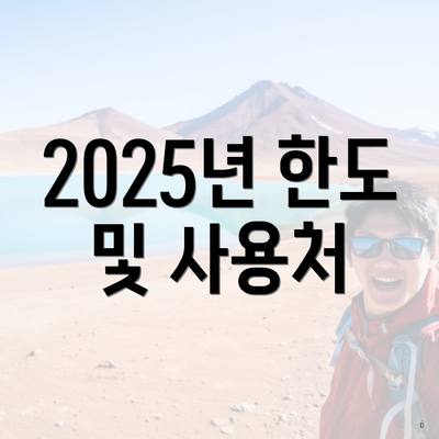 2025년 한도 및 사용처