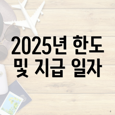 2025년 한도 및 지급 일자