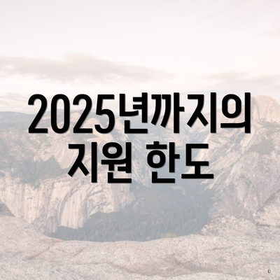 2025년까지의 지원 한도