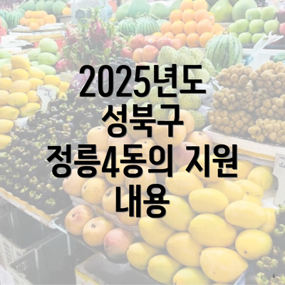 2025년도 성북구 정릉4동의 지원 내용