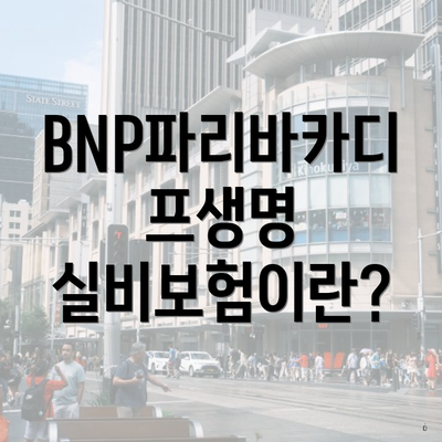 BNP파리바카디프생명 실비보험 가격 비교