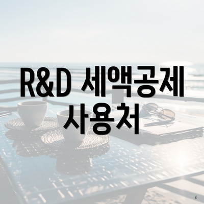 R&D 세액공제 사용처