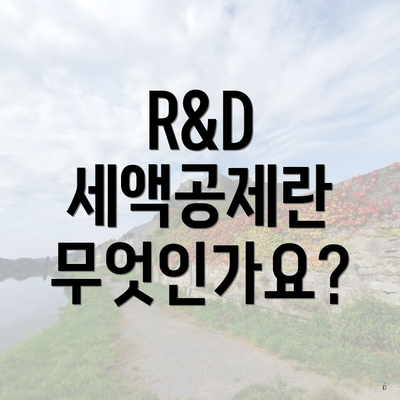 R&D 세액공제란 무엇인가요?