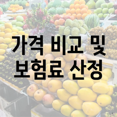 가격 비교 및 보험료 산정