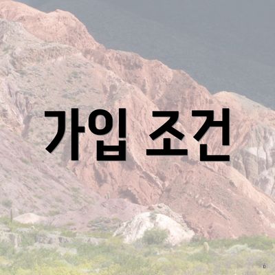 가입 조건