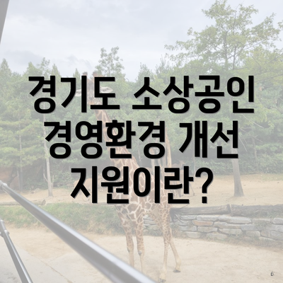 경기도 소상공인 경영환경 개선 지원이란?