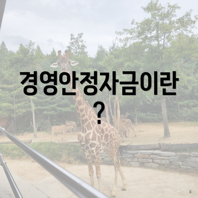 경영안정자금이란?
