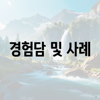 경험담 및 사례