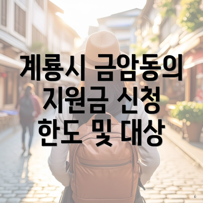 계룡시 금암동의 지원금 신청 한도 및 대상