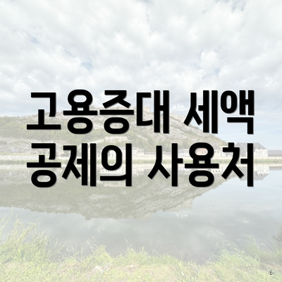 고용증대 세액 공제의 사용처