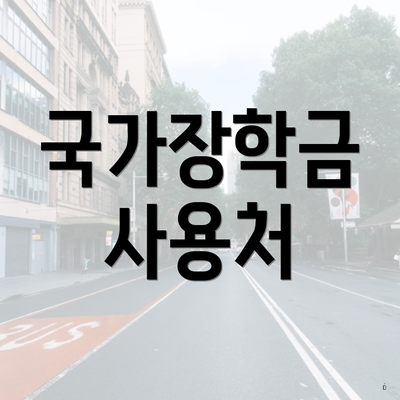 국가장학금 사용처