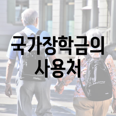 국가장학금의 사용처