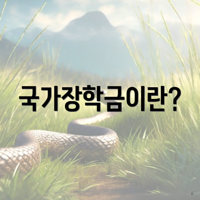 국가장학금이란?