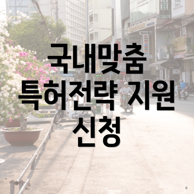 국내맞춤 특허전략 지원 신청