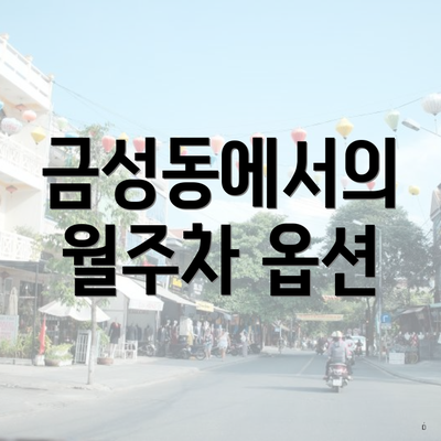 금성동에서의 월주차 옵션