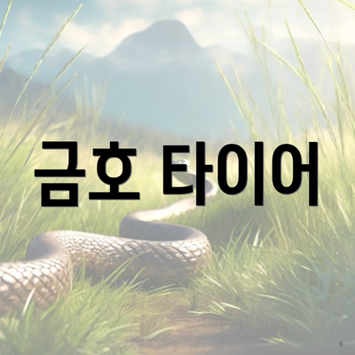 금호 타이어